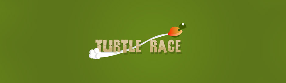 TurtleRace